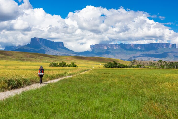 Spend nine days trekking up, around, and down Mount Roraima