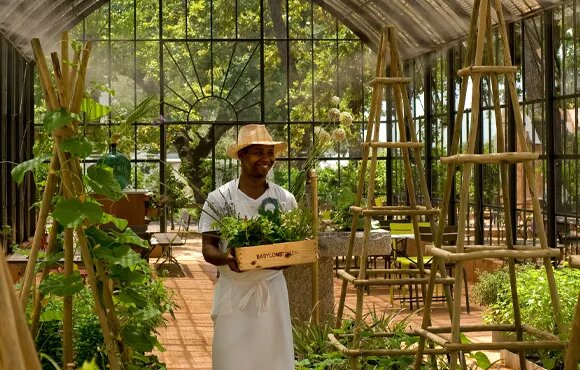 Visiting Babylonstoren