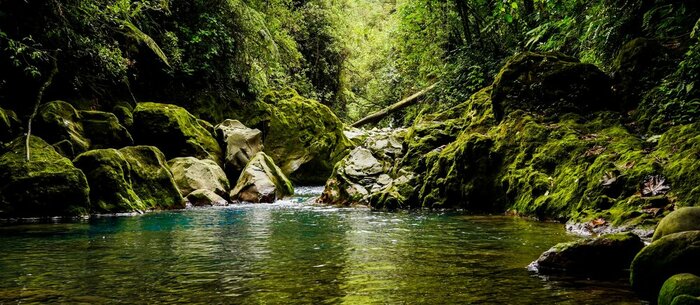 Rainmaker Conservation Park Excursion