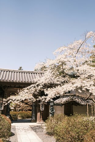 Welcome to Koyasan!