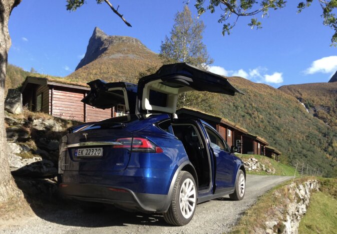 Tesla Taxi Scenic Tour