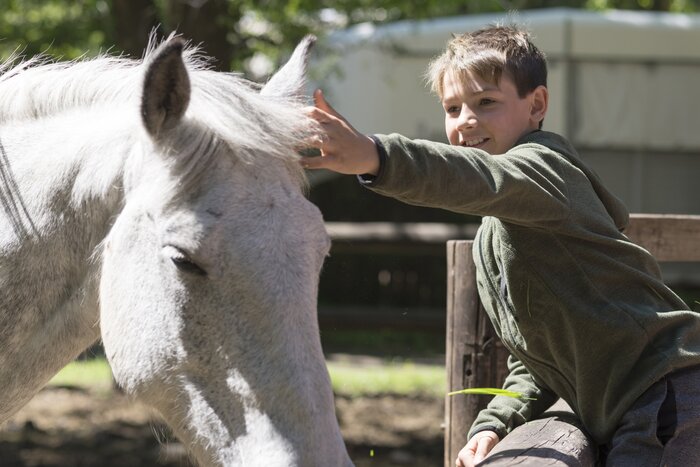 The kids will love life on a traditional Argentine estancia