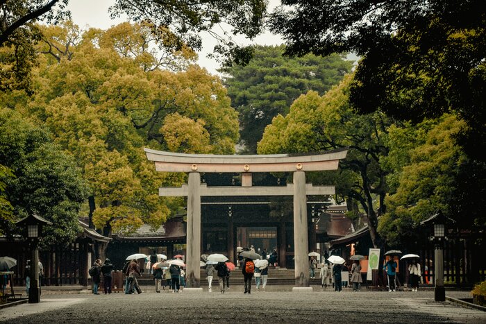 West Tokyo Highlights: Half-Day Private Tour with Guide & Vehicle