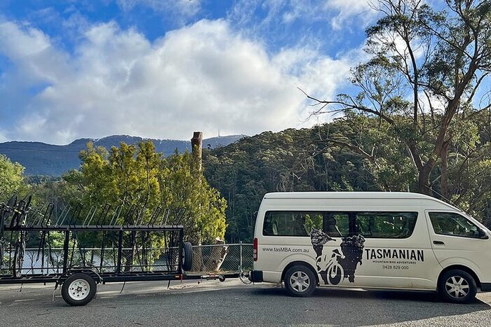 Bike Tour - Mt Wellington Summit Descent & Rainforest Ride