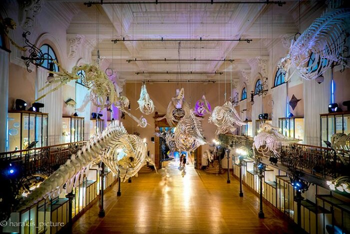 Monaco Oceanographic Museum 