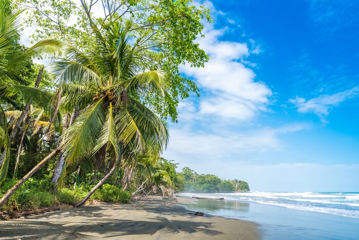 Enjoy unspoiled beaches on Costa Rica's Caribbean coast