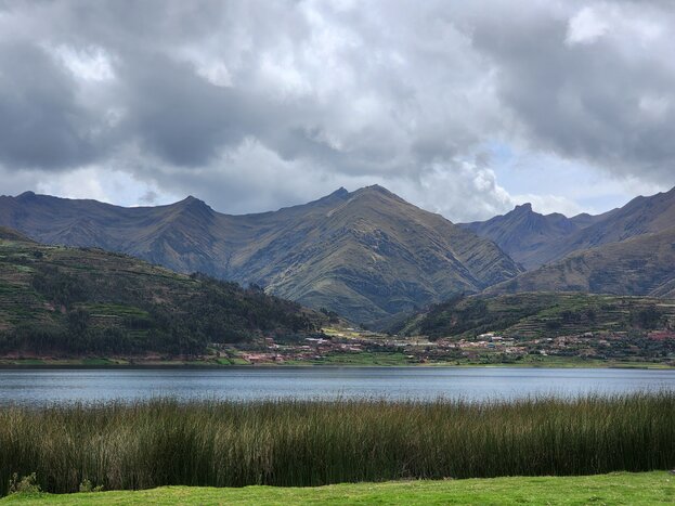 Birdwatching  at Piuray Lake  