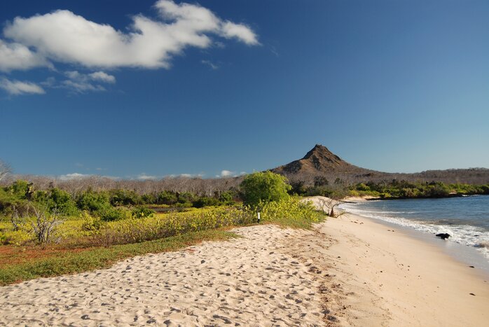 Cerro Dragon (Dragon Hill) on Isla Santa Cruz in the Galápagos Islands, Ecuador