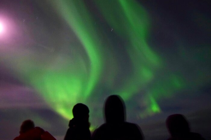 Whale Watching & Northern Lights Boat Experience from Reykjavík 