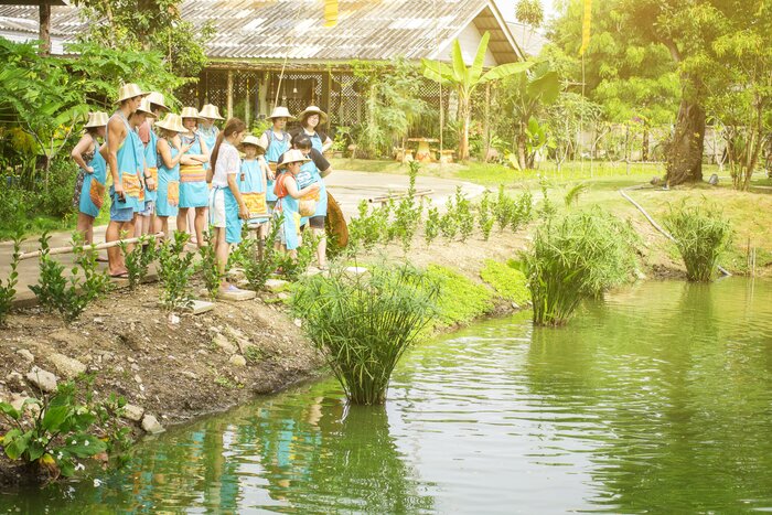 Mama noi Thai Cookery School