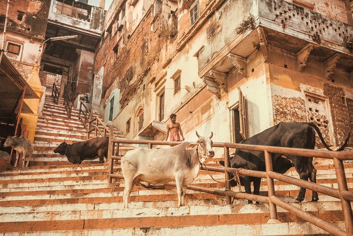 City Tour of Varanasi