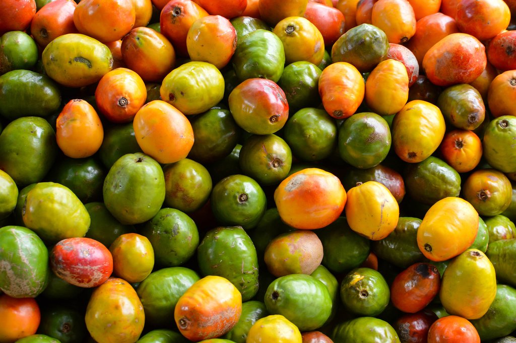 Jocote fruits and sineguelas for sale at a local market