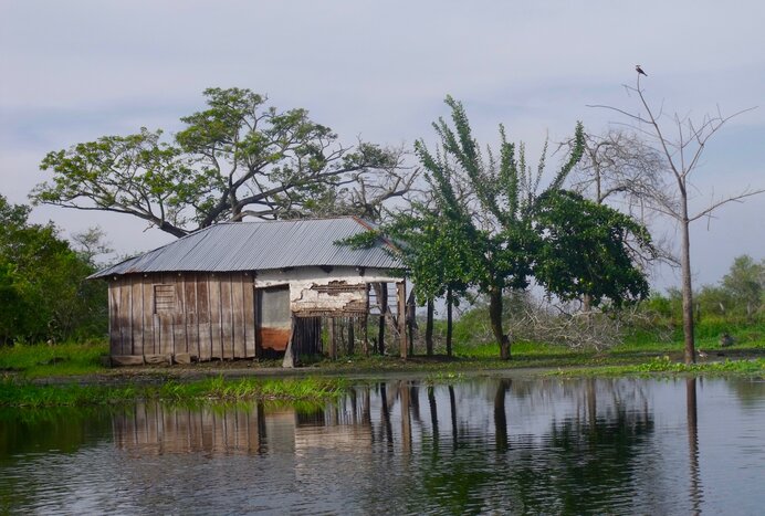 Boat Ride: The Ciénaga de Pijiño 