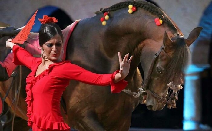 Andalusian Equestrian Show - Royal Stables in Cordoba