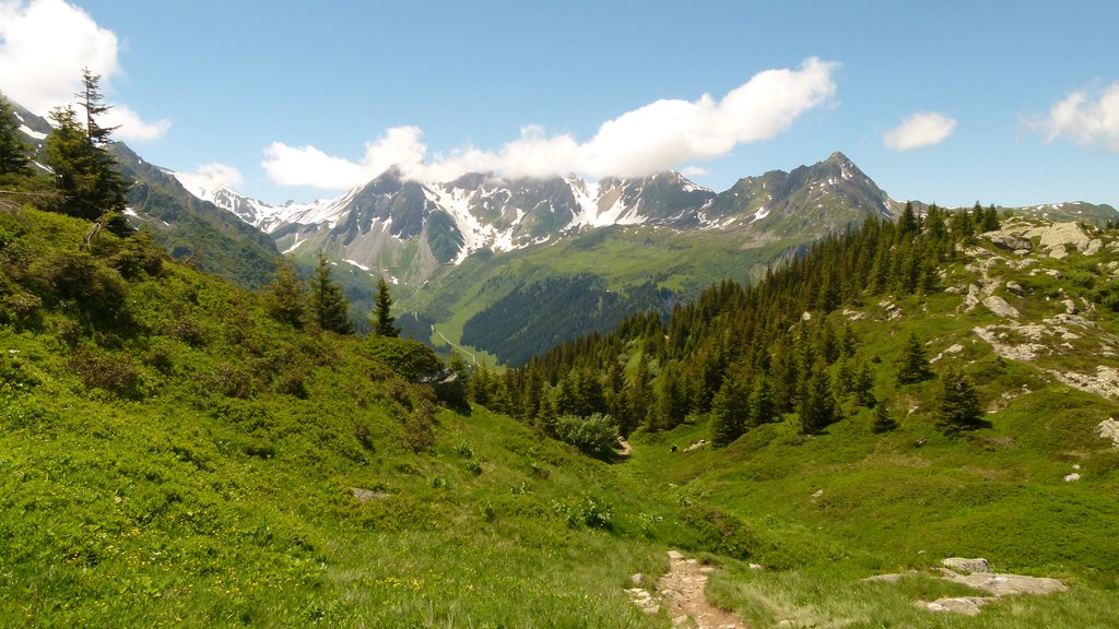 On the way down to Nant Borrant