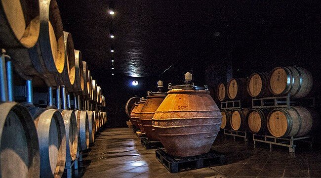 Winery and Cellars Visit & Wine Tasting