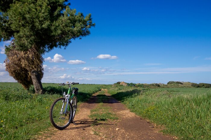 Guided e-Bike Experience & Picnic in the Itria Valley