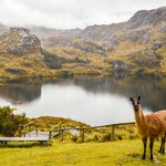 El Cajas National Park