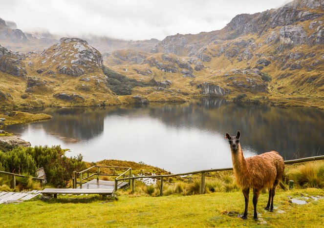 El Cajas National Park