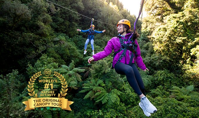 Zipline Original Canopy Tour
