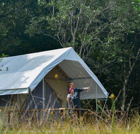 Day 2 : Cardamom Tented Camp ( 4D3Npackage) 