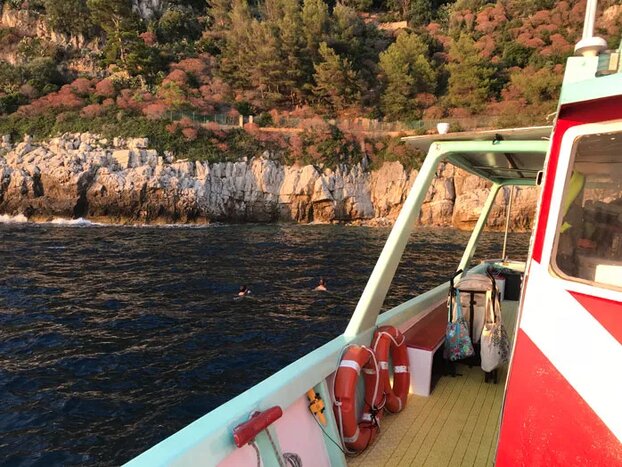 Sea Life Secrets: Snorkel the French Riviera