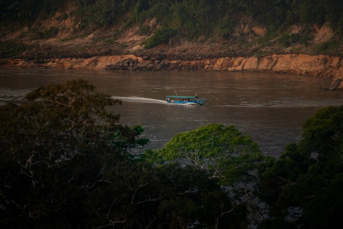 Arrive in Puerto Maldonado, transfer to Refugio Amazonas