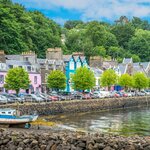 Wander along the colorful architecture in Tobermory, on the Isle of Mull