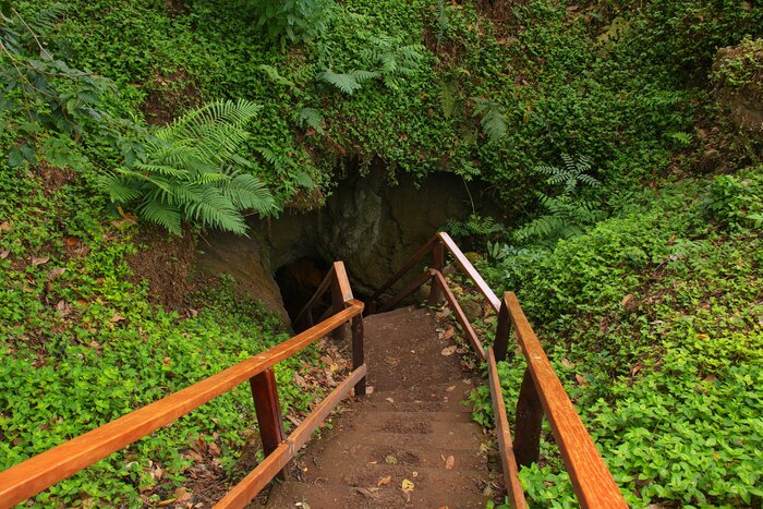 Descend into Isla Isabela's Trillizos 
