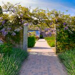 Step into the Lost Gardens of Heligan on a day trip in Cornwall