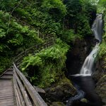 Walk up to a waterfall in Northern Ireland at Glenariff Forest Park