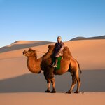 Take a camel ride on the dunes of the Bayan Gobi