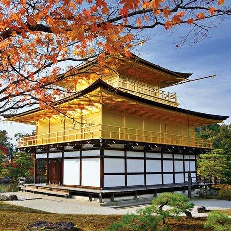 Afternoon Cultural Experience at Kinkaku-ji & Kimono Tea Ceremony, and Gion（Private Guide &Public Transportation）