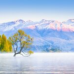 The South Island's Lake Wanaka