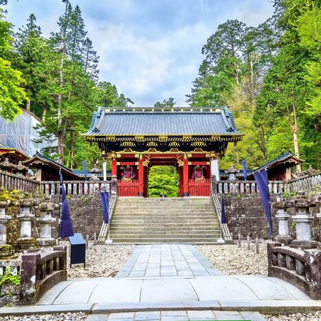 Have Fun in Nikko (Full day by private transfer)