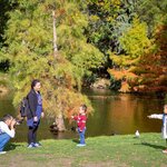 A father snaps pics of his children on holiday in the Botanic Gardens in Christchurch, New Zealand