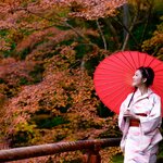 Follow the ancient Golden Route to discover three of Japan's most important cities