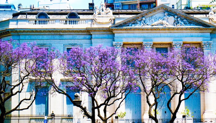 Stroll the affluent neighborhood of Buenos Aires' Recoleta