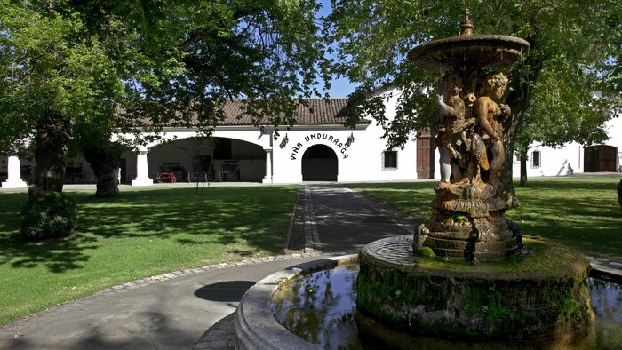 Half day Maipo Vineyards - Undurraga Winery: Sibaris Tour