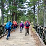 This scenic day trip takes you north of Edinburgh and into the Cairngorms for a guided hike (photo courtesy of Rabbie's)