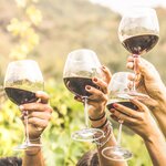 Go wine tasting in the home of malbec in Mendoza, Argentina