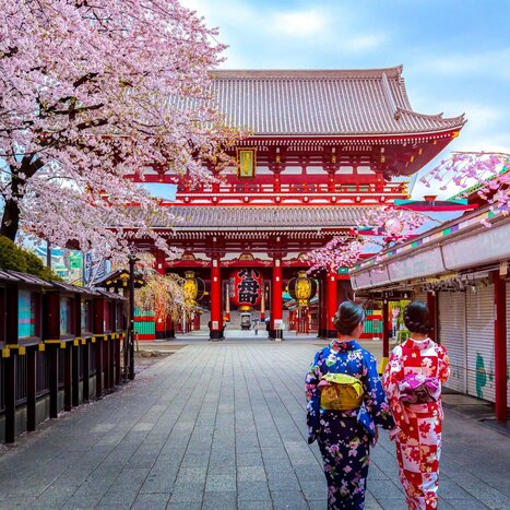 Guided Tour in Tokyo: Temple, Anime Adventure and Food Hunting, Shibuya Sky in the late afternoon