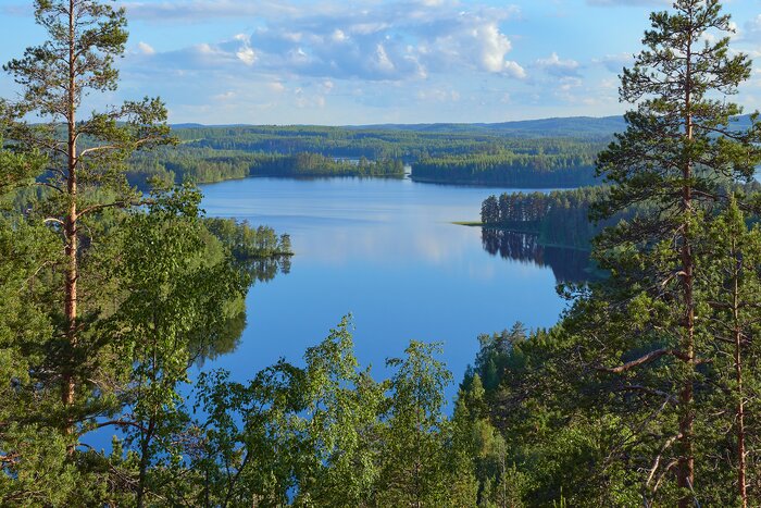 Summer lake views from Neitvuori Mountain