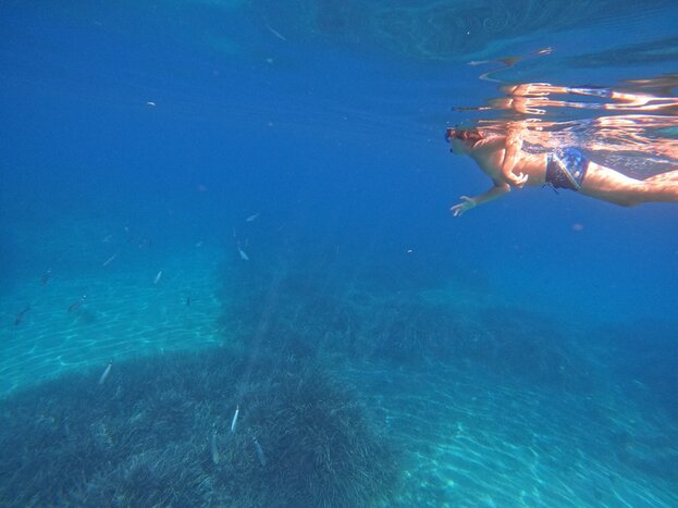 Sailing towards  western   Elafiti islands 