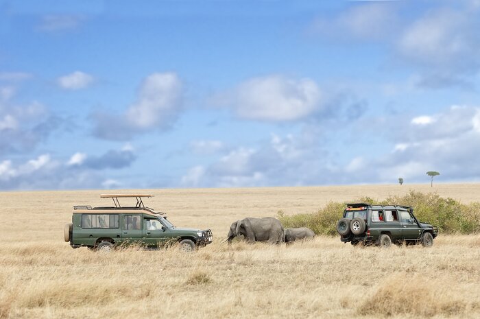 The Masai Mara National Reserve is that it is renowned for its high concentration of predators, including lions, leopards, and cheetahs