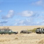 The Masai Mara National Reserve is that it is renowned for its high concentration of predators, including lions, leopards, and cheetahs