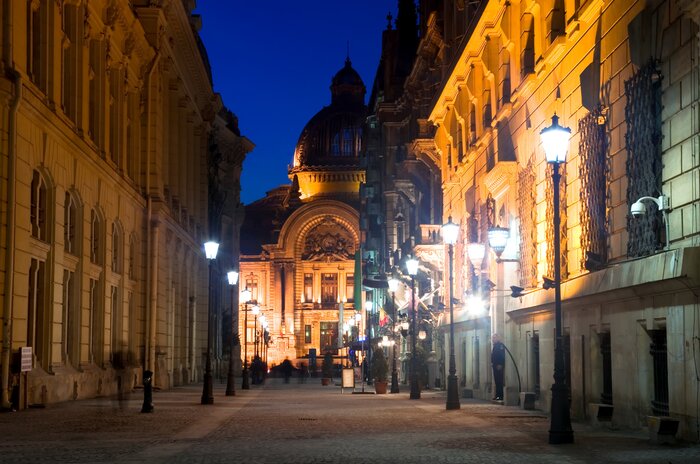Visit the National Museum of History and leisure time in Bucharest