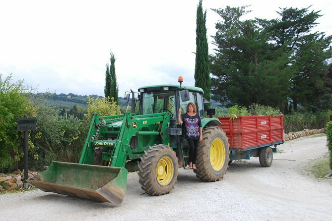 Tour of Pienza, Val d'Orcia and Montalcino with Pecorino cheese and wine tasting 