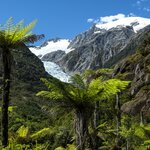 Franz Josef Glacier