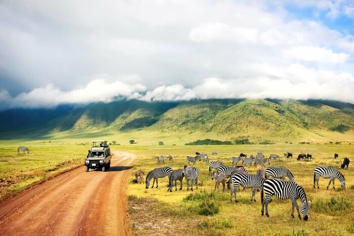 Game drive in Tanzania's Serengeti National Park